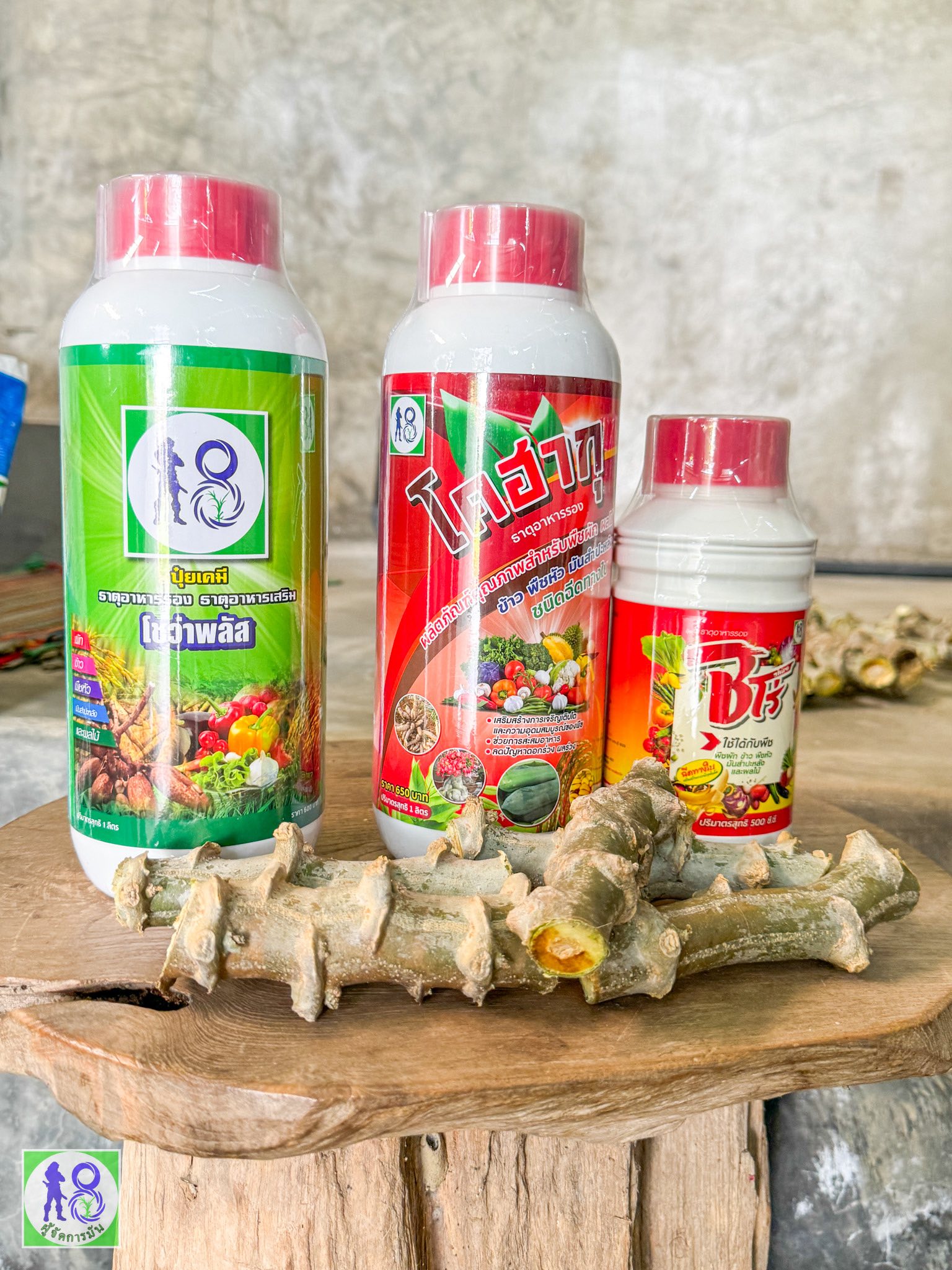 ผู้จัดการมัน – Phujatkanmun